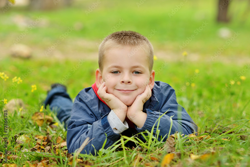 boy on meadow boy on meadow