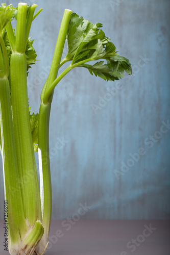 Green stalk celery with spices on the wood background