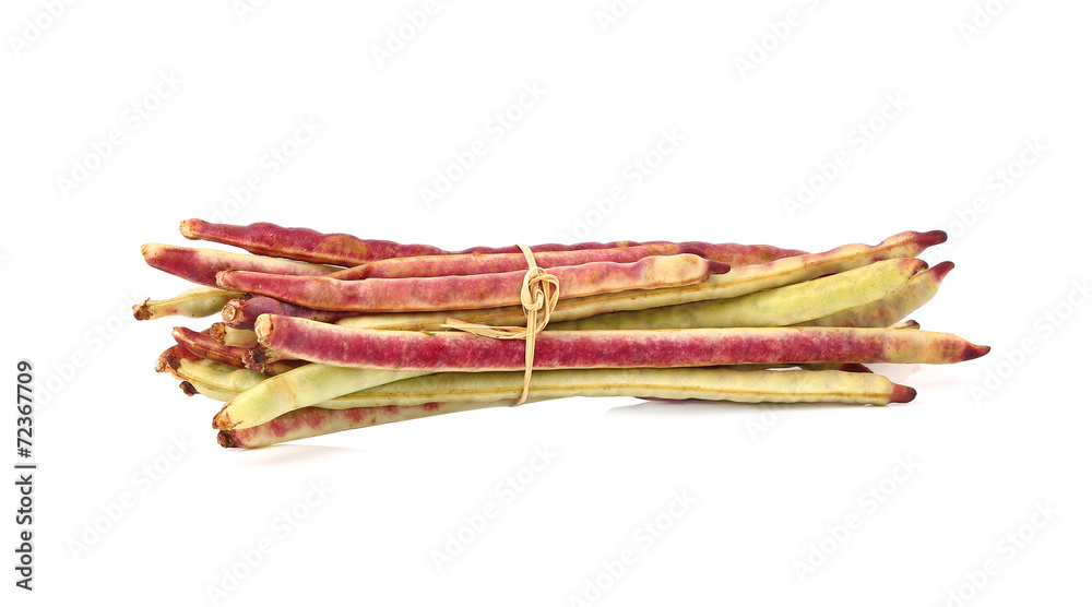 Purple yard long bean Purple yard long bean