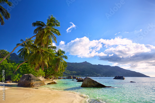 Tropical beach with palms and rocks in Mahe Island, Seychelles