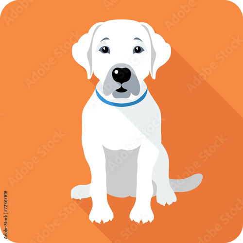 Vector dog Labrador icon flat design