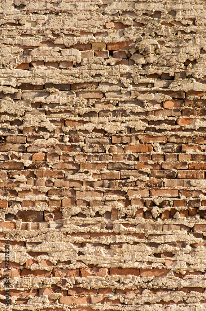 Century-old Brick Wall Century-old Brick Wall