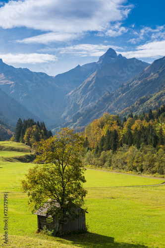 Baum und Hütte im Trettachtal Allgäu photo