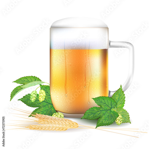 Glass of beer, hops and barley - isolated on white background