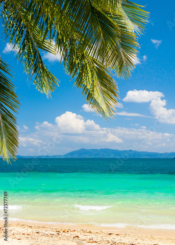 Fototapeta Naklejka Na Ścianę i Meble -  Idyllic Coast Palms Overhanging