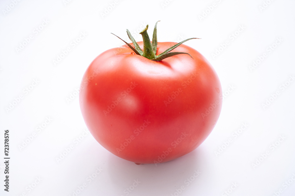 fresh tomato fresh tomato
