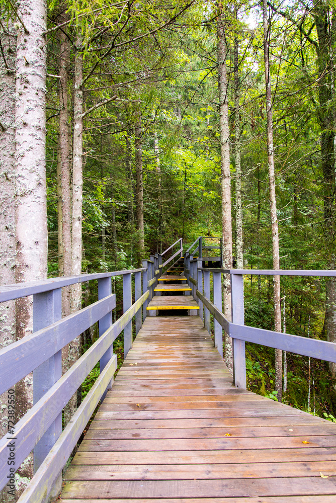 scenic and beautiful tourism trail in the woods near river scenic and beautiful tourism trail in the woods near river
