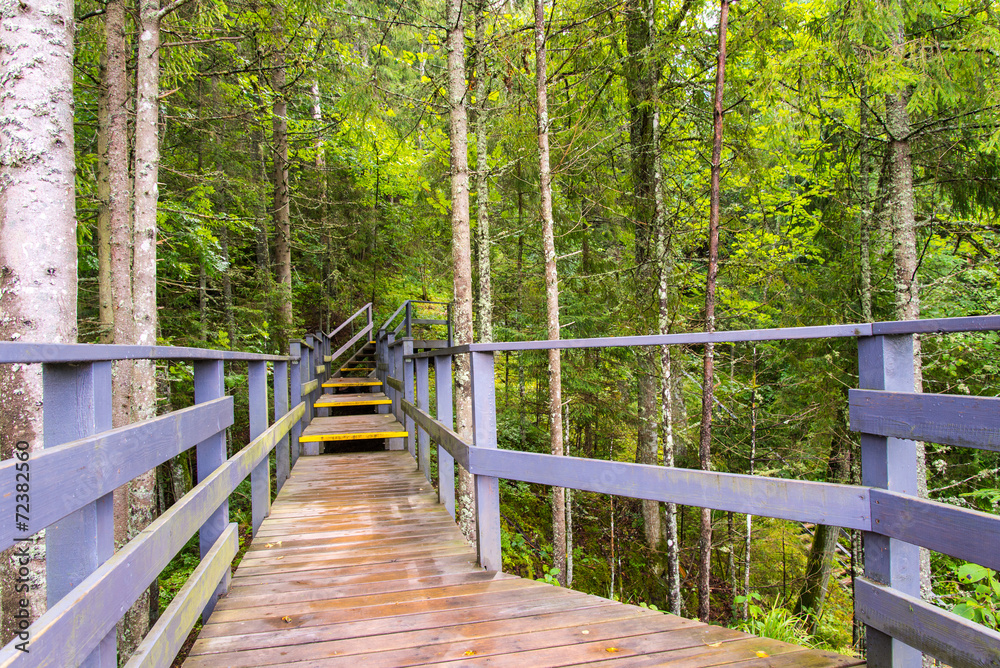 scenic and beautiful tourism trail in the woods near river