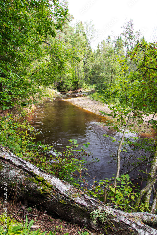 view to the Mountain river with Flowing Water Stream and sandsto view to the Mountain river with Flowing Water Stream and sandsto