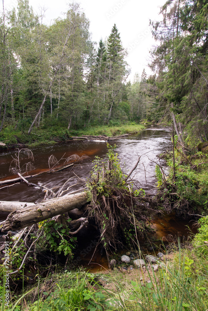 view to the Mountain river with Flowing Water Stream and sandsto