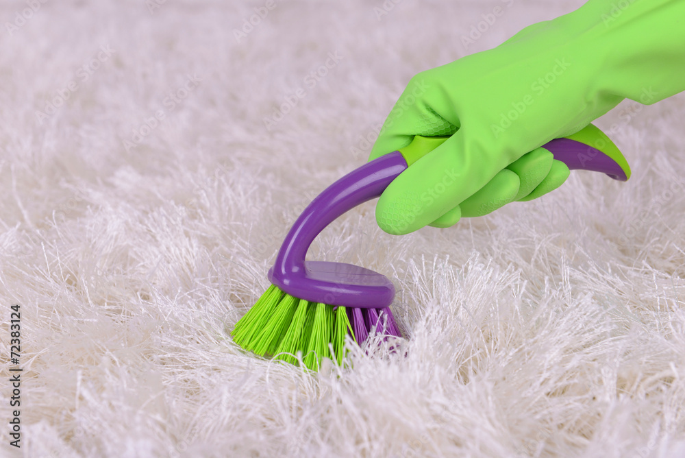 Cleaning carpet with brush close up Stock Photo Adobe Stock
