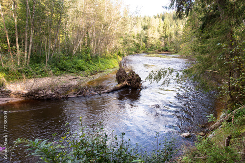 view to the Mountain river with Flowing Water Stream and sandsto photo