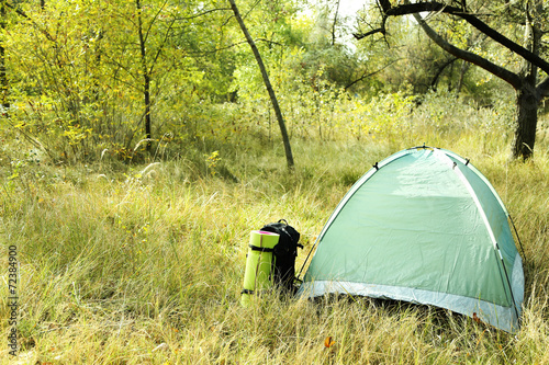 Touristic tent on dried grass in a forest