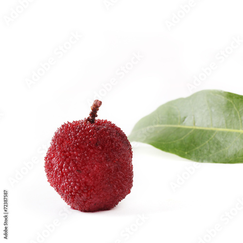 Waxberry or red bayberry on white background