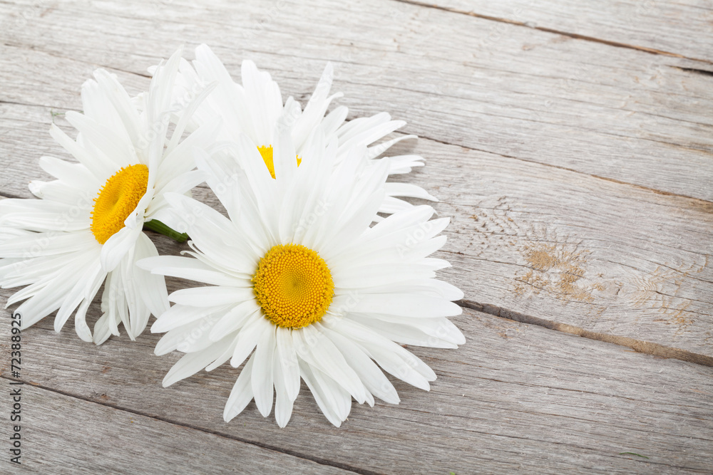 Obraz premium Daisy camomile flowers on wooden table