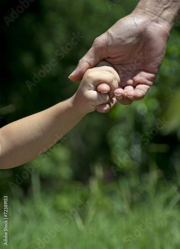 Father and daughter hands in the forest © Daniel Ferryanto