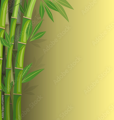 Green bamboo on yellow background