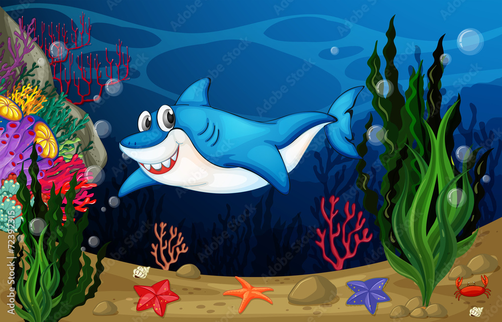 Naklejka premium Shark