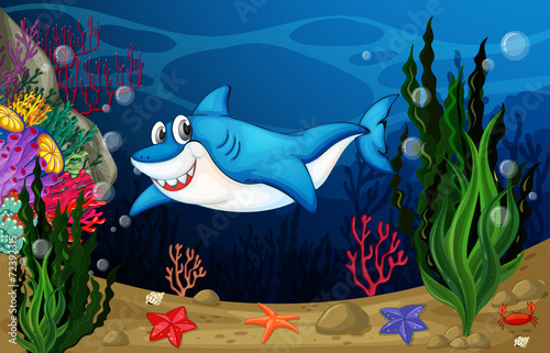 Shark