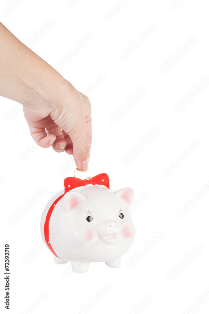 Female hand lowers a coin in a pig-coin box