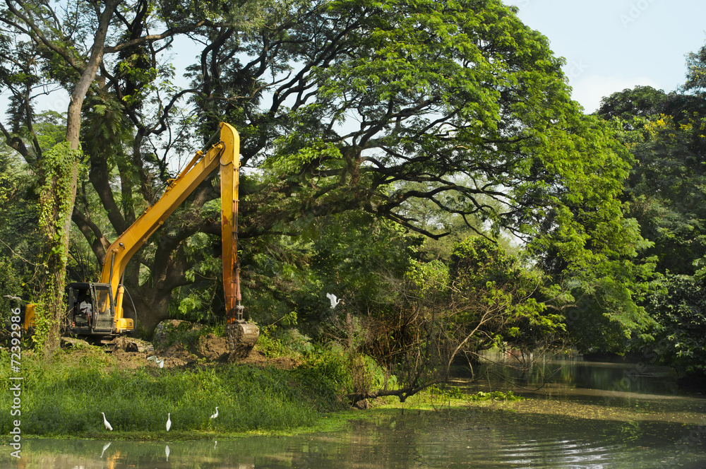 Destruction of forest, deforestation and damaging environment Destruction of forest, deforestation and damaging environment
