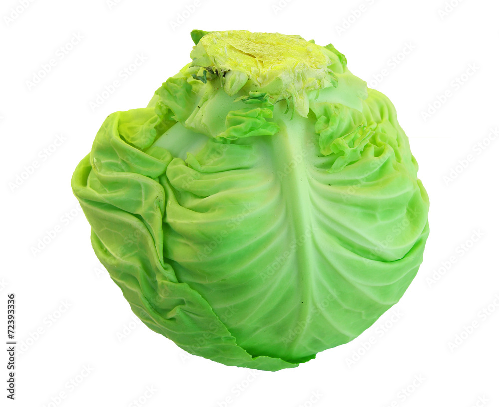 Cabbage Cabbage