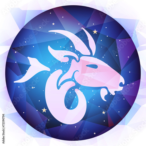 zodiac signs, vector illustration