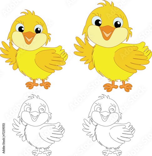 Illustration of cute little chick