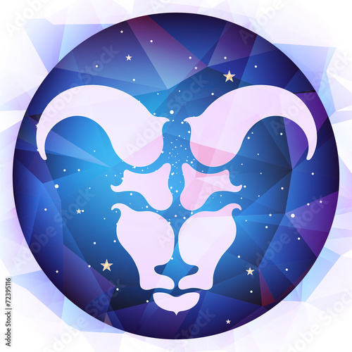 zodiac signs, vector illustration