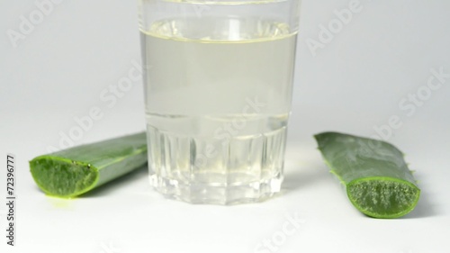 Wallpaper Mural Aloe vera Torontodigital.ca