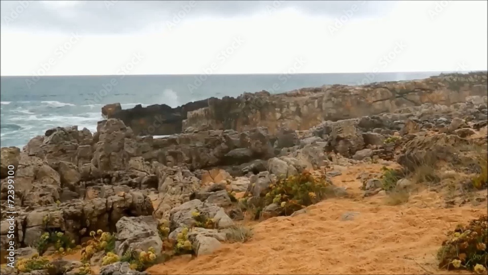 Blowhole Blowhole
