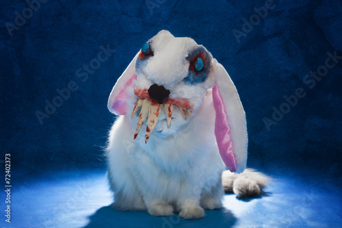 cat in costume evil bloody hare