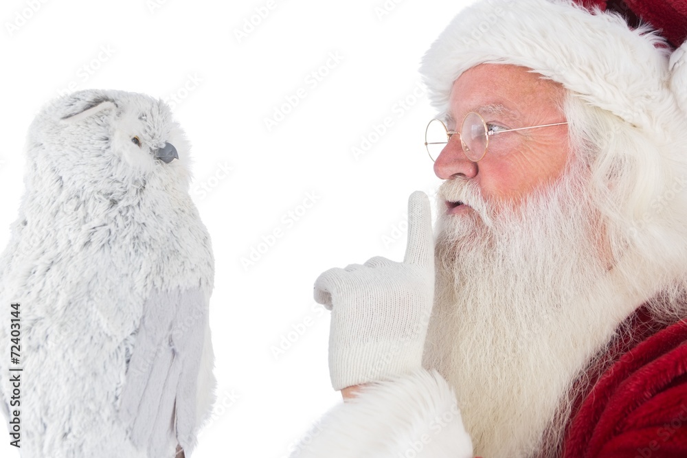 Obraz premium Father Christmas asks for quiet