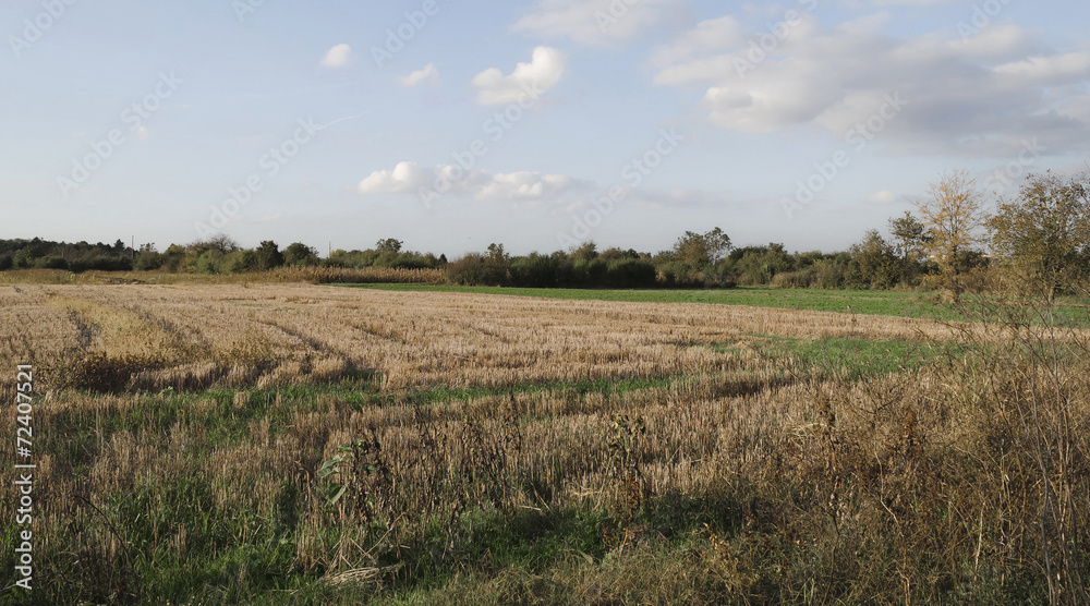 Landscape with stubble of wheat field and sky