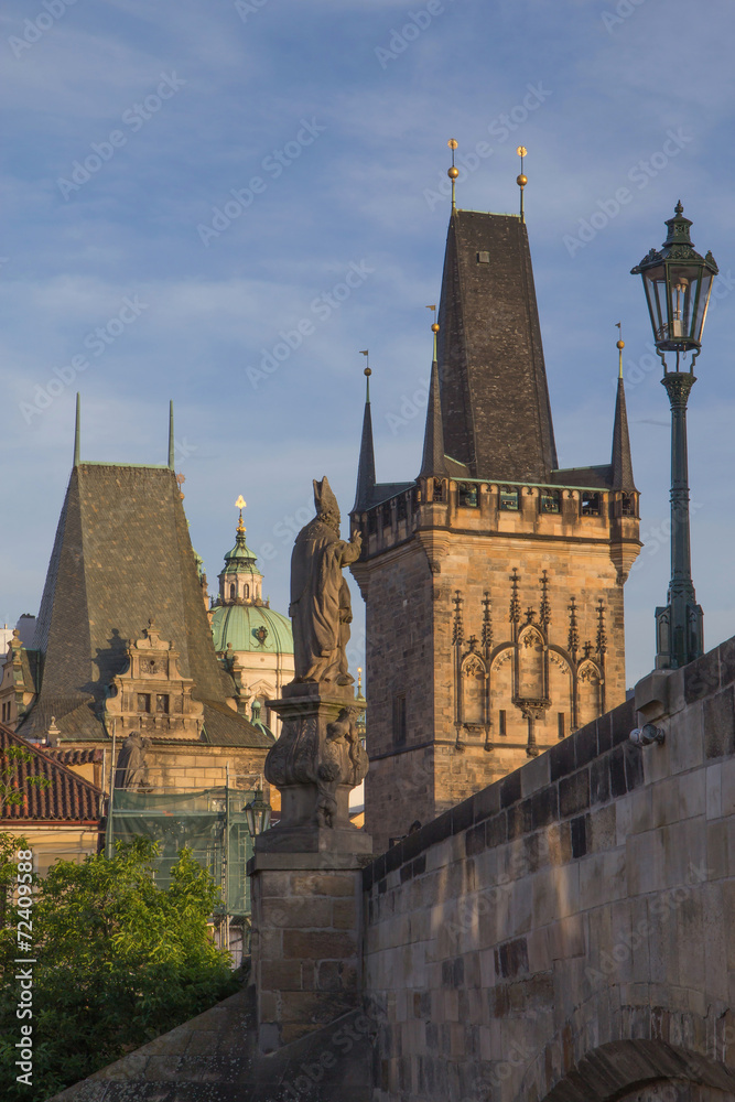 The Charles Bridge in Prague. Vertically.