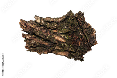 Piece of old bark or rind.