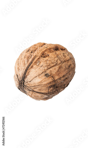 Closeup of one walnut on white background.