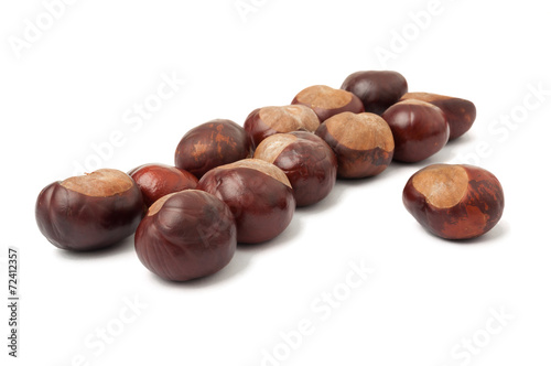 Wallpaper Mural Aligned horse chestnuts Torontodigital.ca