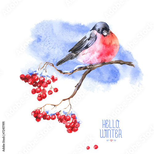 Winter Watercolor Background with Bullfinches