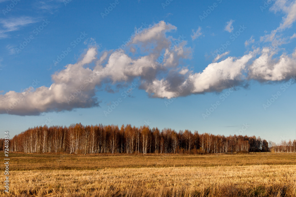 Fototapeta premium Autumn clouds.