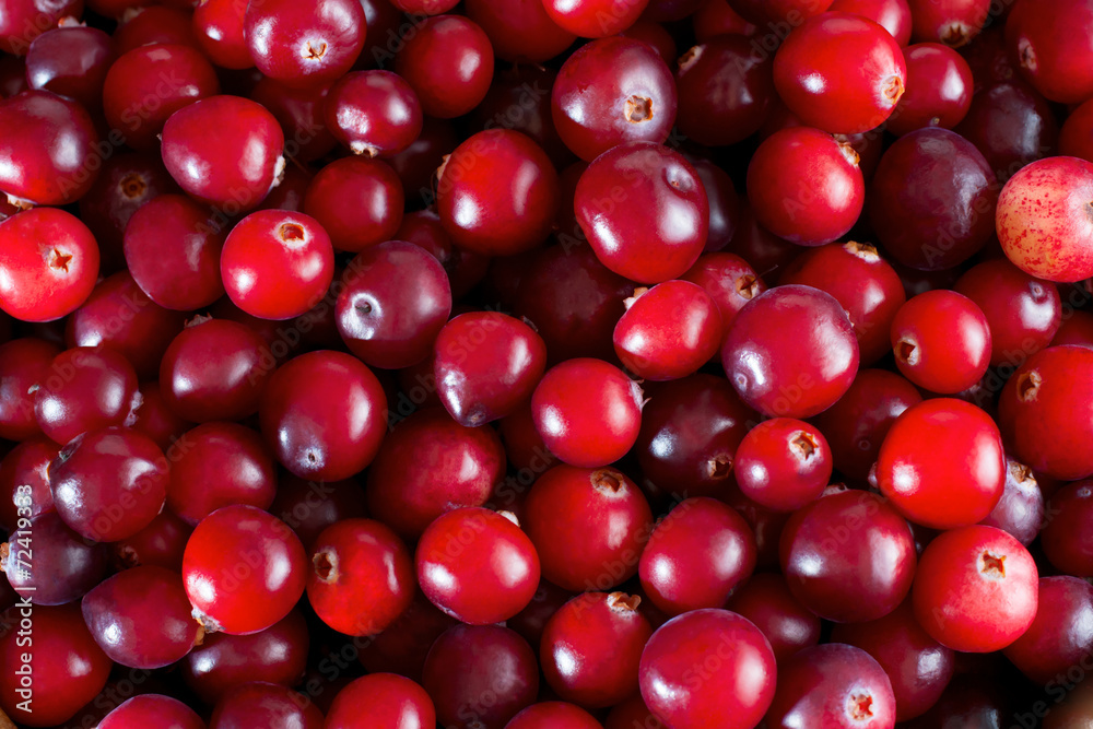 Red fresh cranberries background