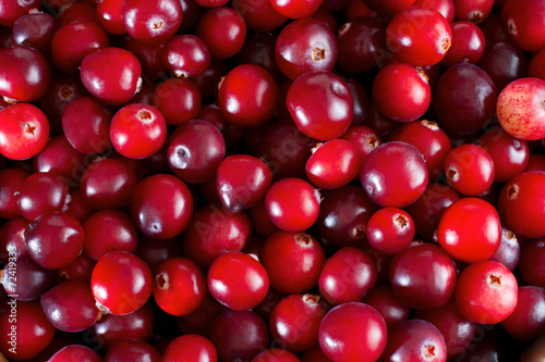 Obraz na płótnie Red fresh cranberries background w salonie