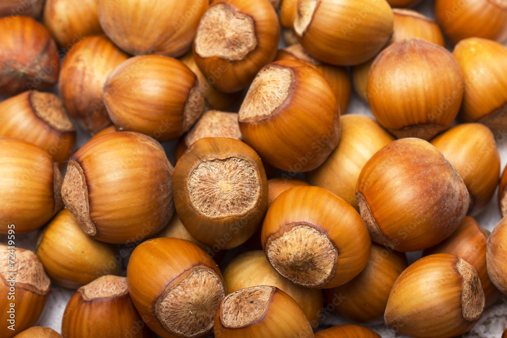 Hazelnuts,nuts Hazelnuts,nuts