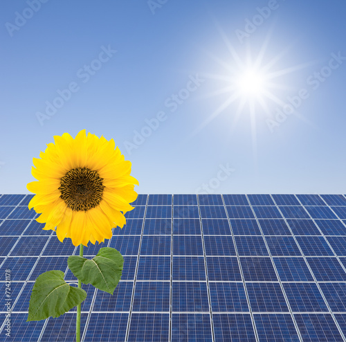 Solaranlage und Sonnenblume