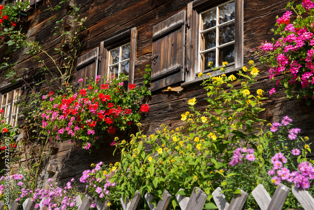 Garten mit blühenden Blumen vor Haus aus Holz