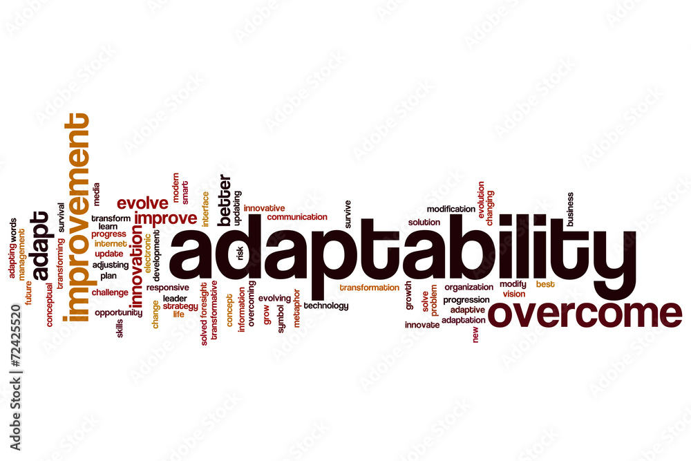 Adaptability word cloud Adaptability word cloud
