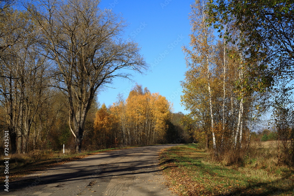 Fototapeta premium Autumn