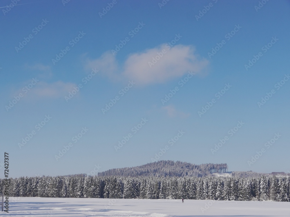 Obraz premium snow landscape winter