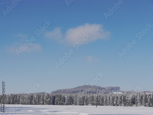 snow landscape winter © flucas