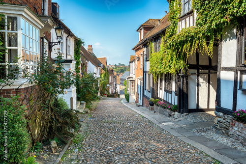 Canvas-taulu Cobbled Streets in Rye
